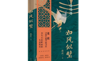 宋盼 | 《如风似璧》：在封与闭之间生长的“长青”